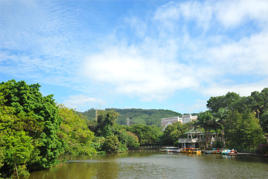 公園風景