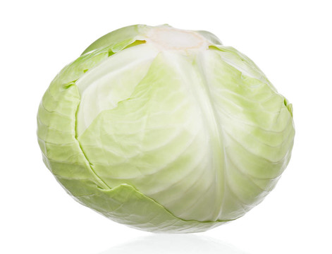 新鮮的卷心菜