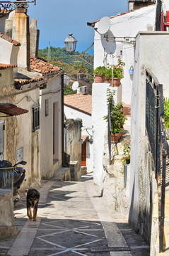 小巷。Vico del Gargano。普利亞。意大利.