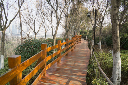 木制棧道