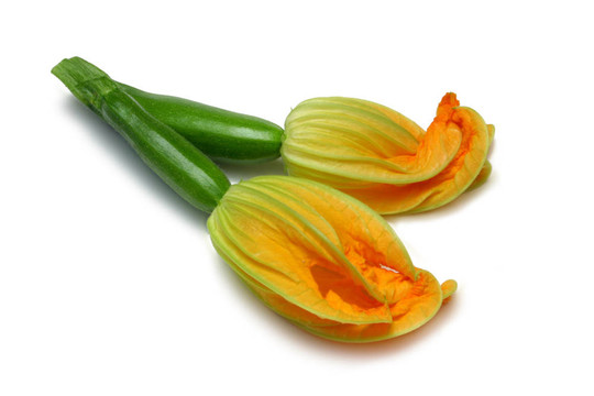 西葫蘆與Flower