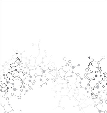 分子