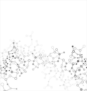 分子結(jié)構(gòu)
