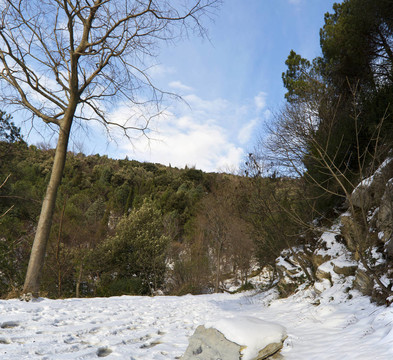 積雪的道路