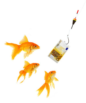金魚
