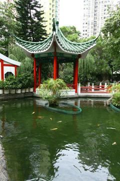 在香港的中國花園