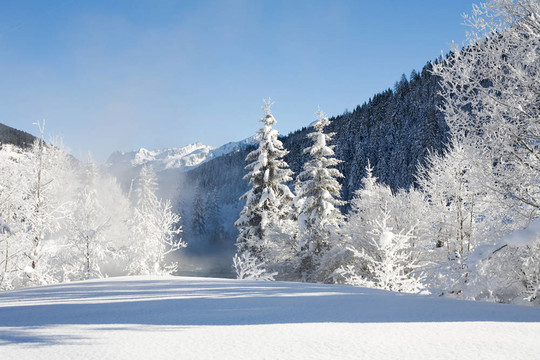 山上的冬天和雪