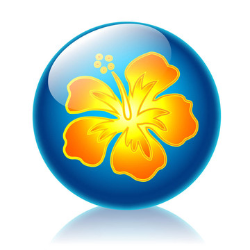 ALOHA光澤圖標(biāo)