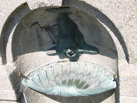 裝飾；裝飾；飲用；滴水；直流；裝飾；滴水