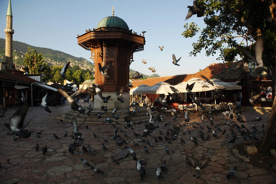 薩拉熱窩市bosnia