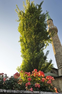 薩拉熱窩市bosnia