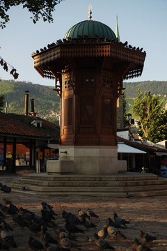 薩拉熱窩市bosnia