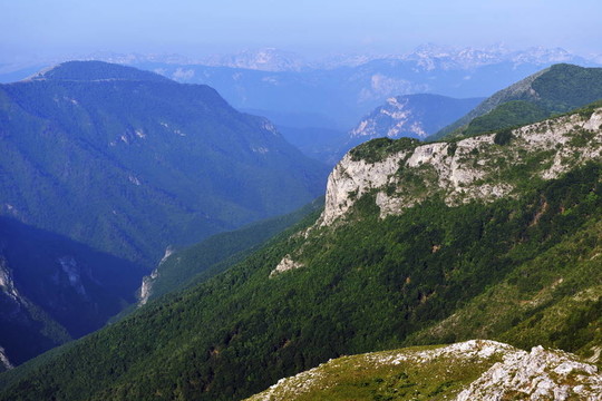 山自然