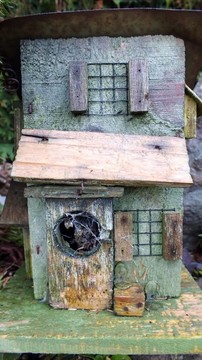 裝飾老鳥房