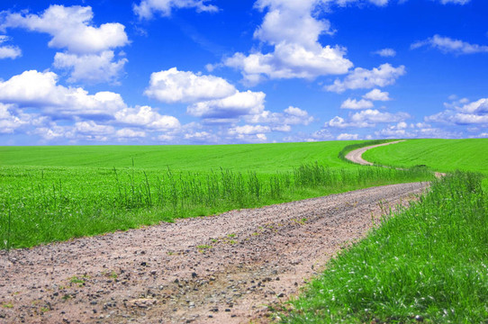 綠色領域與道路和藍天。