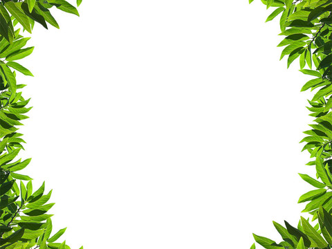 天然綠框