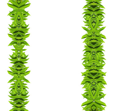 天然綠框