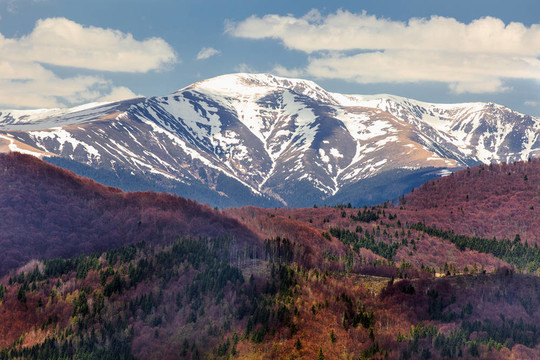 山地景觀