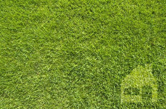 绿色草地上的图标；纹理背景