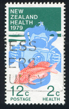 紅鯔魚(yú)