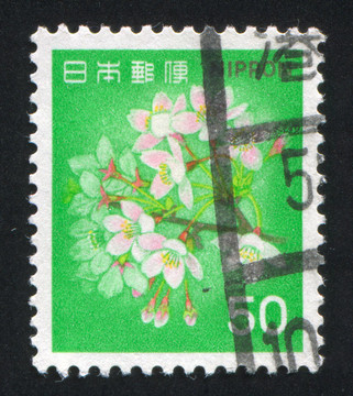 櫻花