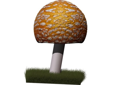 毒蠅傘草