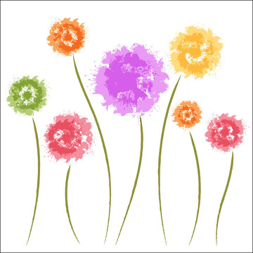 蒲公英花。水彩畫
