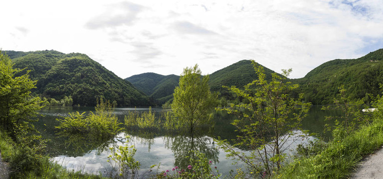 流域核桃