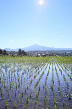 太姬神和藍(lán)天