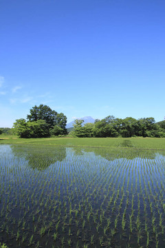 太姬神和藍(lán)天