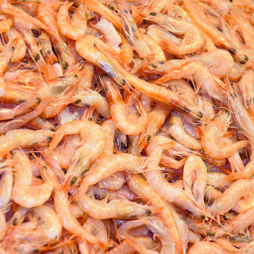 對(duì)蝦