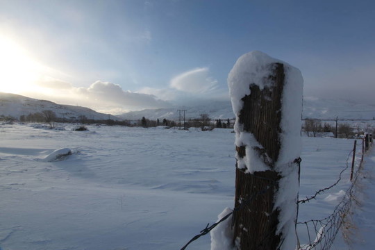 早晨雪