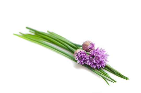 韭菜花