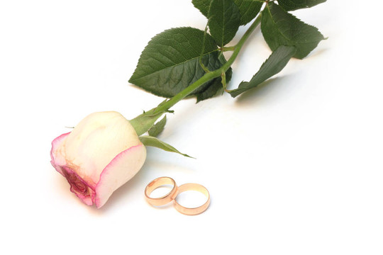 婚禮的概念