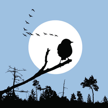 分支輪廓太陽(yáng)背景的鳥(niǎo)；插圖