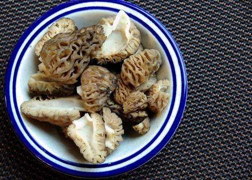 在一碗羊肚菌