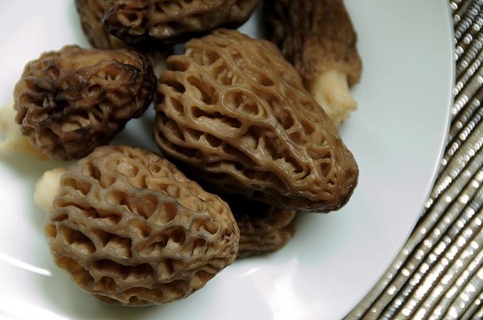 在一個白色的盤子羊肚菌