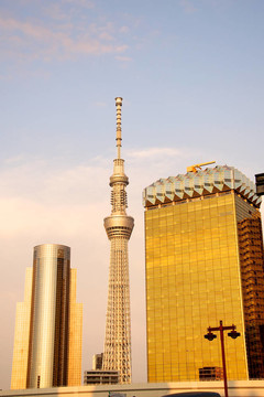 東京望天樹的晚上