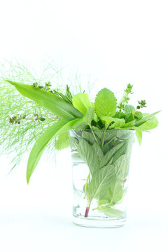綠色草本植物
