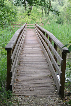 在一個自然公園小徑木棧道自然