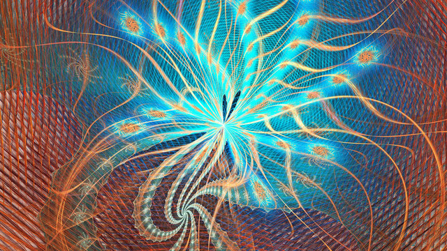分形的花