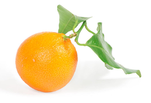 Tangerine夜店的綠色葉子白色隔離