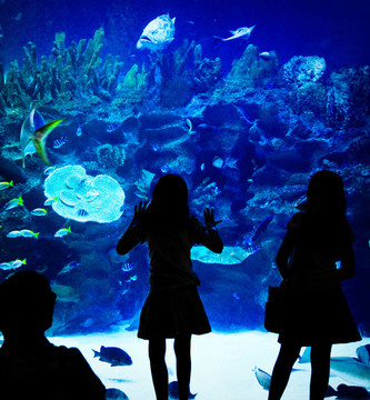 水族館