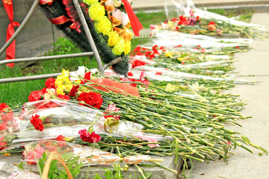 鮮花和花環(huán)在地上
