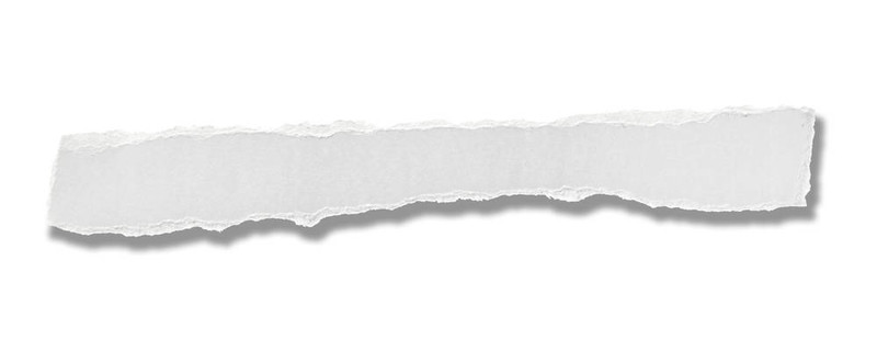 白皮書撕消息背景