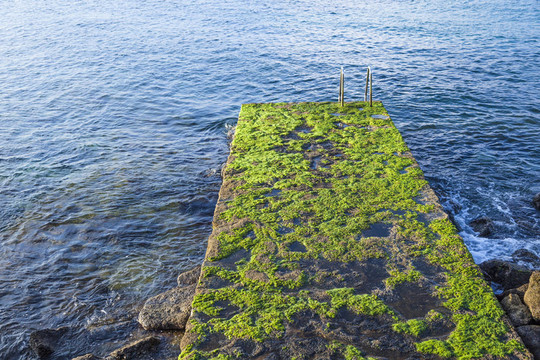 從旅游ressort大海老梯子