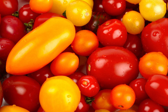 本特有Haufen verschiedener縮短biotomaten nach der ernte