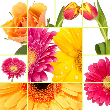 五顏六色的花朵收集許多五顏六色的花朵作為拼貼