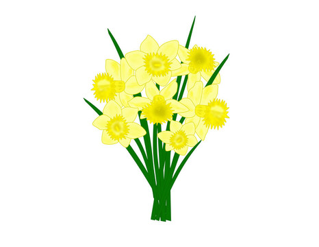 水仙花