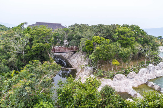 中國叢林；海南島
